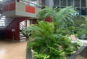 Location bureaux Torcy centre-ville - Proche autoroutes A104, A4 et RER A