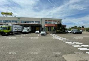 Plateforme logistique à vendre Illkirch-Graffenstaden - Accès direct A35