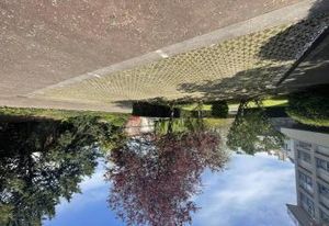Vente bureaux Lille quartier des Moulins - Proche Euralille et métro