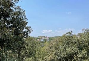 Vente bureaux Sophia Antipolis, Biot, proche Antibes et Nice