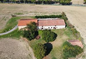 Local d'activité à louer Montgaillard-Lauragais - Proche Toulouse et A61