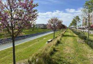 Vente bureaux Genas - Proche A46 et aéroport Saint-Exupéry