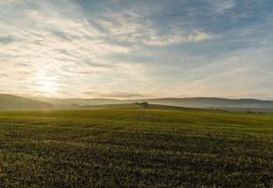 Terrain à vendre Gironde-sur-Dropt - accès A62