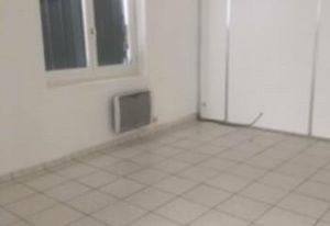 Local d'activité à louer Fleurieu-sur-Saône - 20 min de Lyon