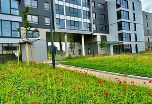 Location bureaux Strasbourg Ouest - Proche centre-ville, TGV et transports