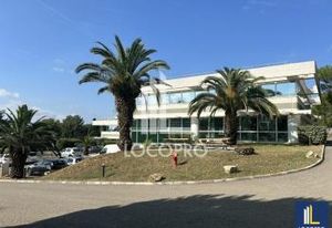 Location bureaux Sophia Antipolis - Proximité axes routiers et transports