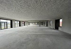 Local commercial à louer Strasbourg - Parc des Forges - A351