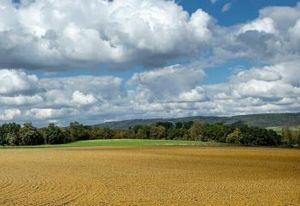 Terrain industriel à vendre - Courmelles, proche A4 et A26