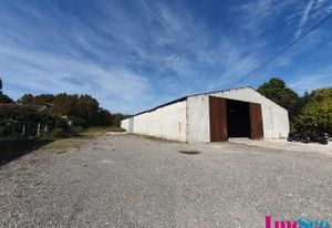 Entrepôt à vendre Ambarès-et-Lagrave - Proche A10 et centre-ville