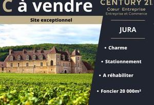 Vente local d'activité Lons-le-Saunier - Proche lacs et Suisse