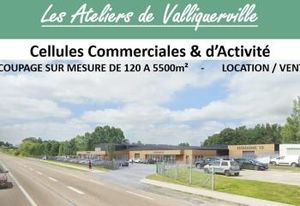 Location cellules d'activité Valliquerville - Proximité autoroute