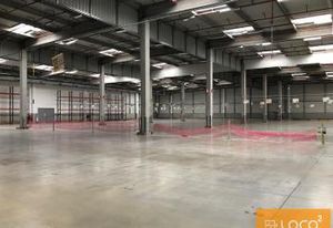 Location entrepôt Baziège - Accès A61 et proximité Toulouse