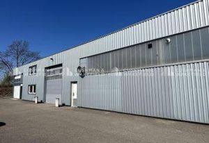 Vente local d'activité Hoenheim - Proche A4 et Tram B