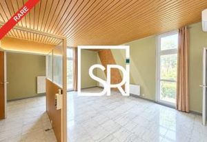 Local commercial à louer Issoire - Proche A75