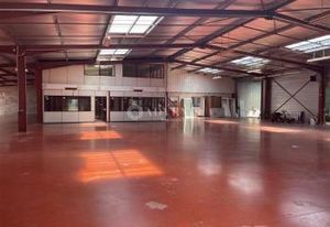 Local d'activité à louer Cestas - Proche A63 et Bordeaux