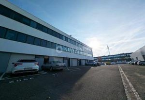 Location bureaux Bischheim - Proche tram et bus