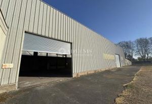Location hall d'activité Illkirch-Graffenstaden - Proximité GCO et Allemagne