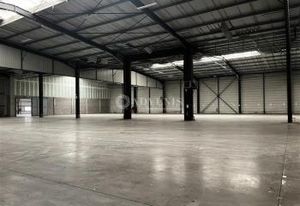 Entrepôt à louer Geispolsheim - Zone Industrielle Forlen