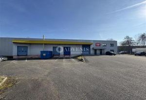 Entrepôt avec quais à louer Geispolsheim - Zone Industrielle Forlen