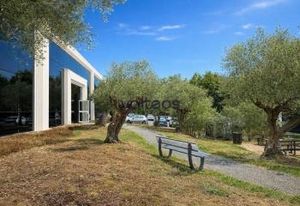 Location bureaux Colomiers - Parc Aéronautique, proche Toulouse et aéroport