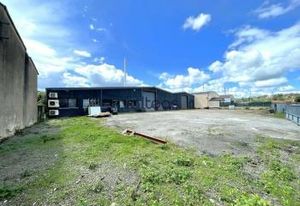 Location local d'activité Plaisance-du-Touch - Proche N124 et bus