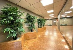 Location bureaux Lyon 3 - Proche Gare Part-Dieu et transports