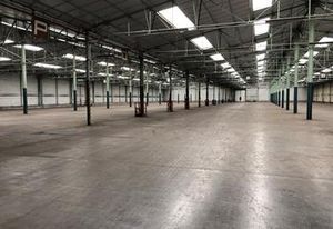Location local d'activité Drusenheim - Proche A35 et A4