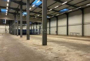 Entrepôt avec bureaux à vendre Illkirch-Graffenstaden - Zone Industrielle Sud