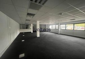 Location bureaux Colomiers - Zone tertiaire des Ramassiers