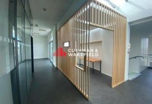 Vente immeuble bureaux Saint-Lys - Vue Pyrénées et parking