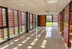 Location bureaux Saint-Jean - Proximité clinique de l'Union et rocade