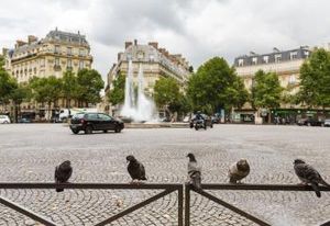 Location bureau Paris 16 - Cabinet d'exception