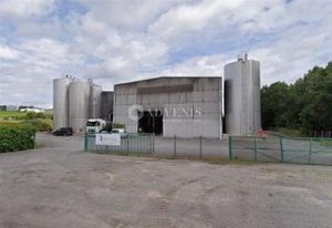 Vente bureaux Angeac-Champagne - Proche D731 et D150