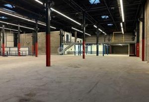 Entrepôt 8 m hauteur sous plafond à vendre Meinau - Strasbourg