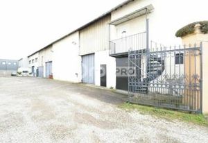 Local d'activité à louer Corbas - Proche A7 et Boulevard Urbain Sud