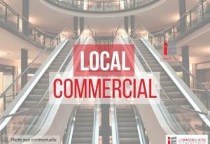 Local commercial à vendre Pleurtuit - Zone commerciale