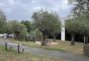 Location bureaux Colomiers - Parc Aéronautique, proche Toulouse et aéroport