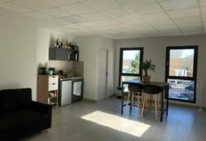 Local d'activité à louer Fleurieu-sur-Saône - 20 min de Lyon