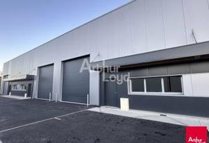 Local d'activité neuf à louer Laillé - Proche RN 137
