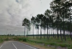 Bâtiment neuf 4000 m² à vendre Ychoux - Proche A63