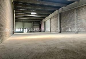 Cellule de stockage à vendre Bischheim - Proximité tram ligne B