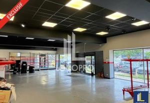Location local commercial Mougins - Avenue de la Plaine