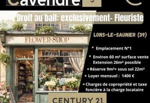 Location local commercial Lons-le-Saunier centre-ville