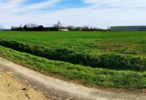 Terrain économique Saint-Genis-sur-Menthon - accès A40 immédiat