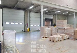 Location entrepôt Saint-Thibault-des-Vignes - Proche A104