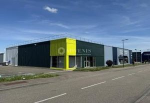Location local commercial Vendenheim - Zone Lampertheim