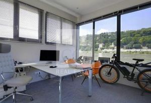 Location bureaux Lyon 2 - Peniche avec terrasse et parking