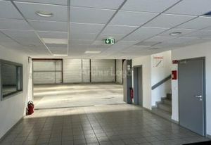 Vente bâtiment d'activité Colmar ZI Nord - Accès autoroutier immédiat