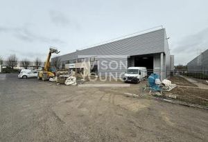 Location local d'activité neuf Le Mesnil-Amelot - Proche A1