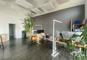 Location local commercial Les Sorinières - Sud Nantes